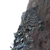 Plants: image 1 Of 3 Thumb